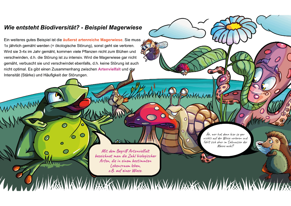 orangeworx biodiversity schoolproject